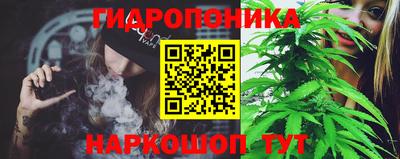 гашик Анжеро-Судженск