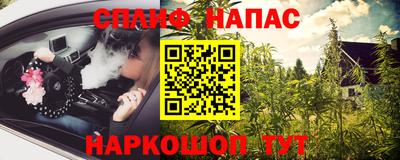 гашик Анжеро-Судженск