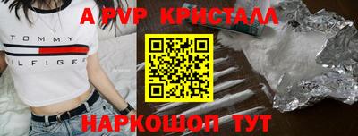 гашик Анжеро-Судженск