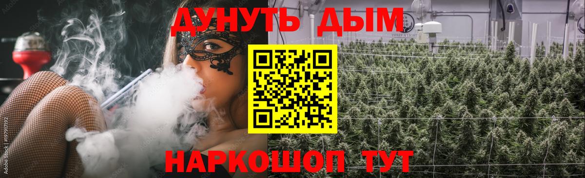 МАРИХУАНА конопля Бердск